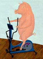 Schwein auf Fitnessgerät